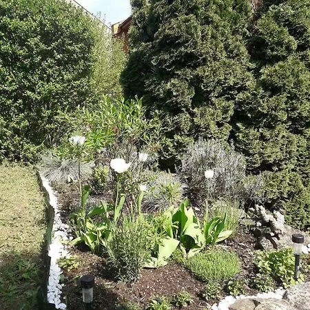 144 * Kněževes