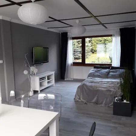 Luxury Living Apartment